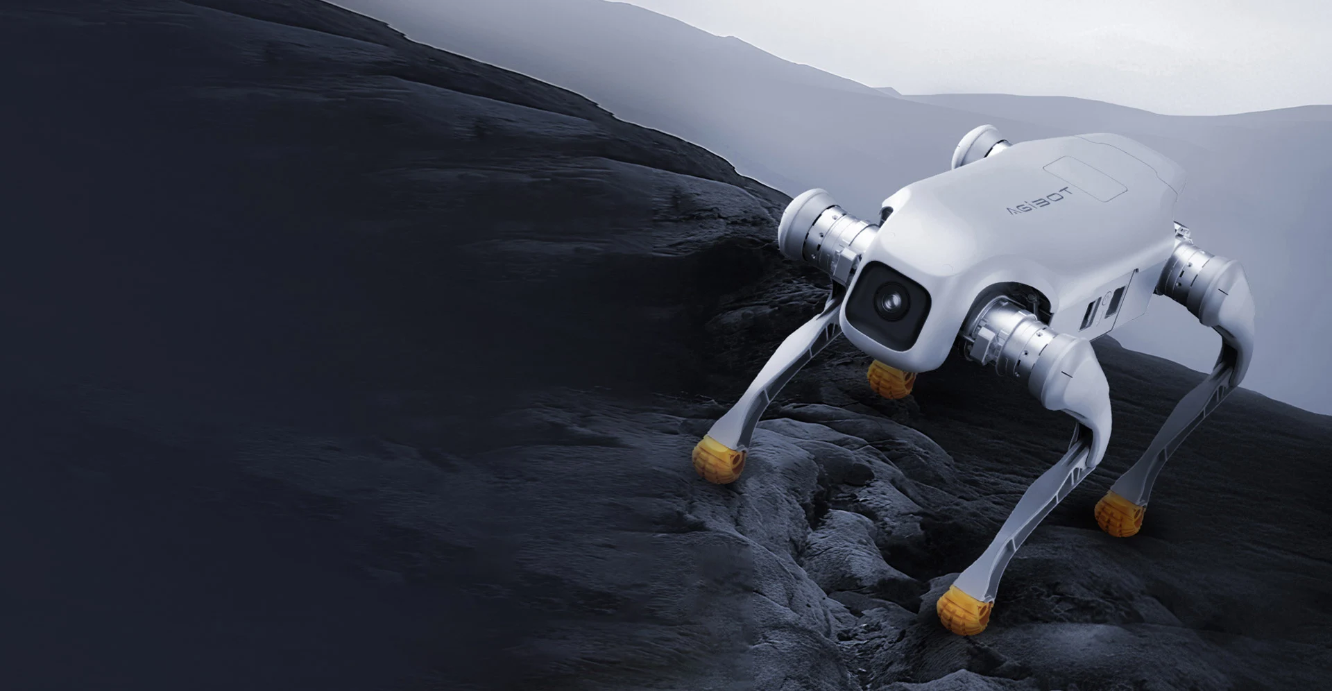 AGIBOT D1 Pro / Edu