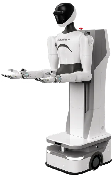 AGIBOT G1